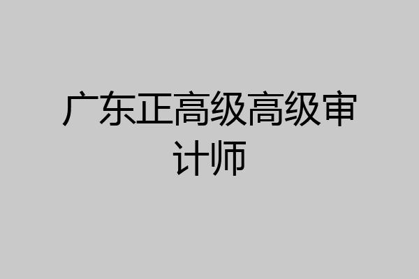 广东正高级高级审计师