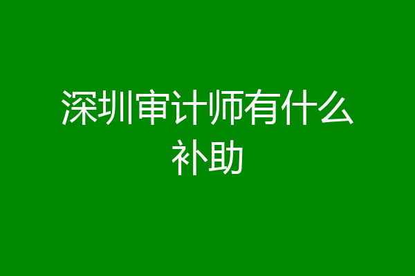 深圳审计师有什么补助