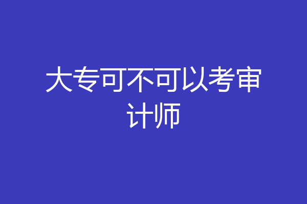 大专可不可以考审计师