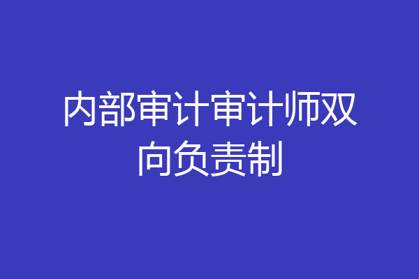内部审计审计师双向负责制