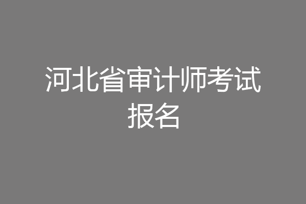 河北省审计师考试报名