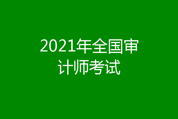 2021年全国审计师考试