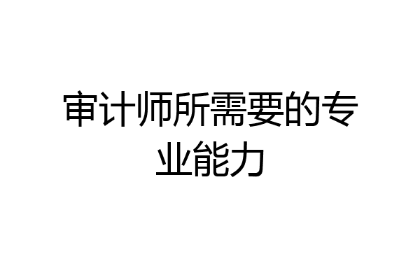 审计师所需要的专业能力