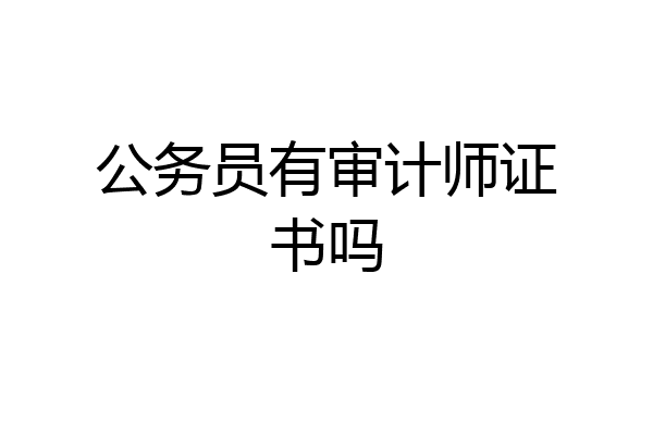 公务员有审计师证书吗