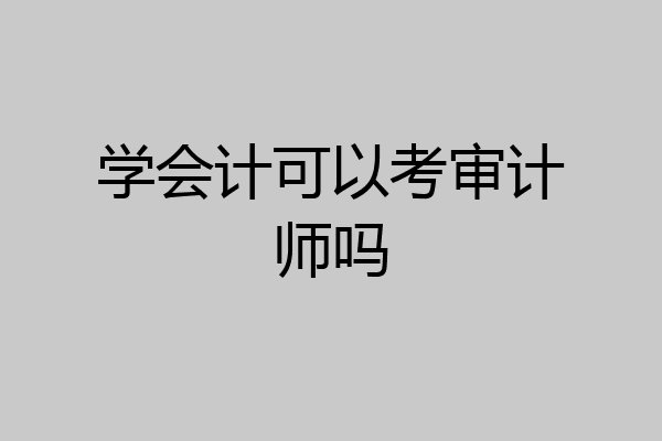 学会计可以考审计师吗
