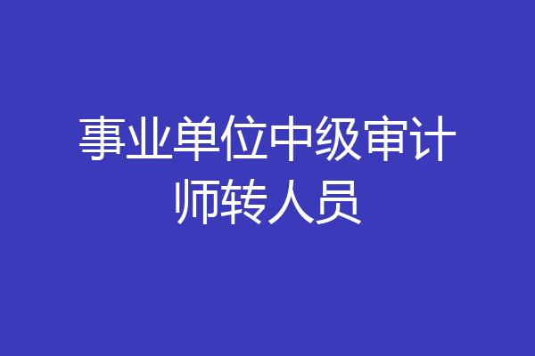 事业单位中级审计师转人员
