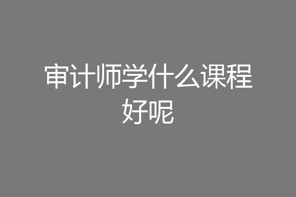 审计师学什么课程好呢
