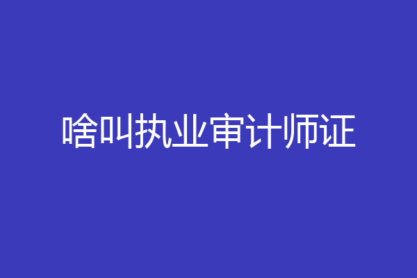 啥叫执业审计师证