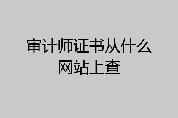 审计师证书从什么网站上查