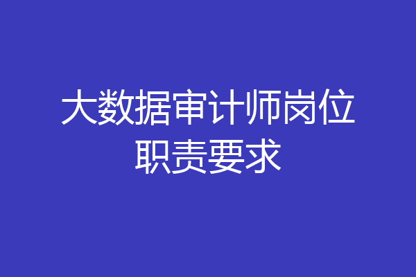 大数据审计师岗位职责要求