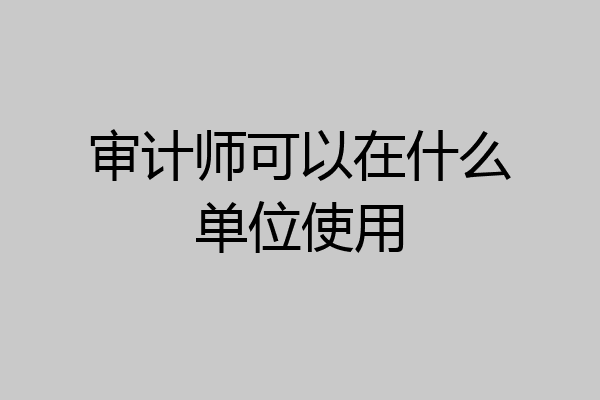 审计师可以在什么单位使用