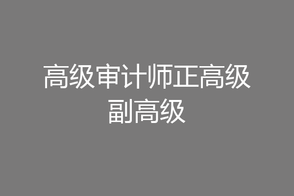 高级审计师正高级副高级