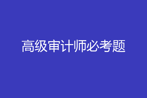 高级审计师必考题