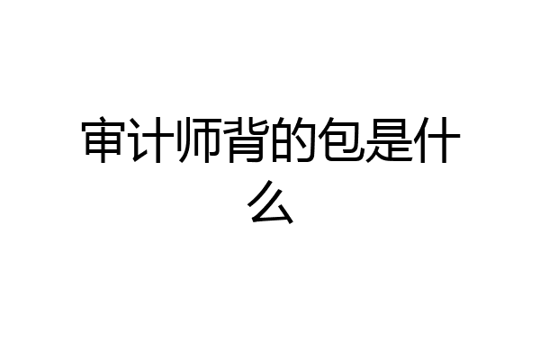审计师背的包是什么
