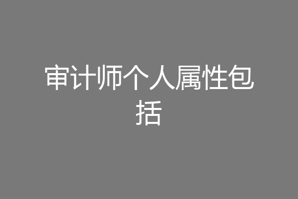 审计师个人属性包括