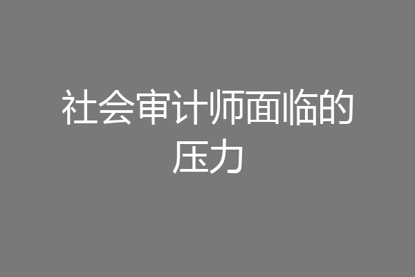 社会审计师面临的压力
