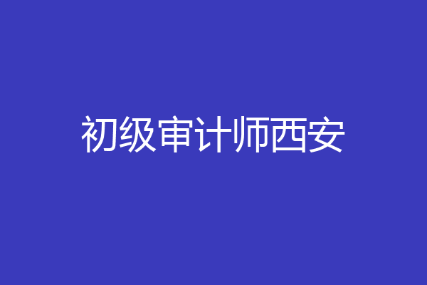 初级审计师西安