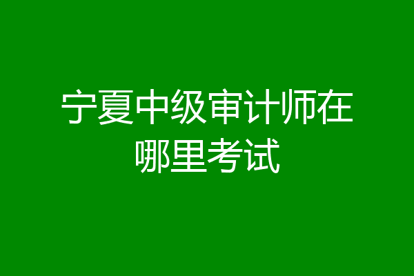宁夏中级审计师在哪里考试