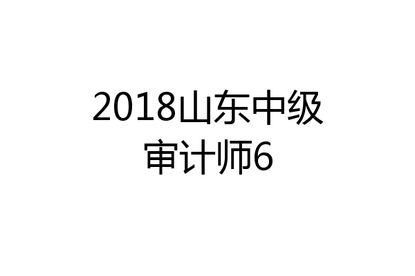 2018山东中级审计师6