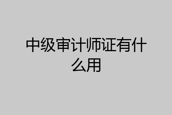 中级审计师证有什么用