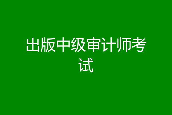 出版中级审计师考试