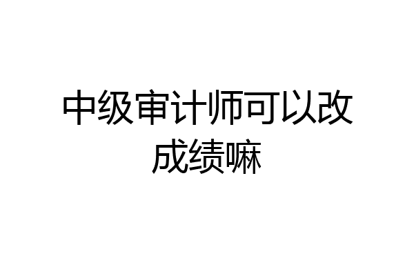 中级审计师可以改成绩嘛