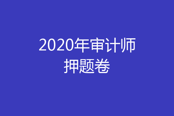 2020年审计师押题卷