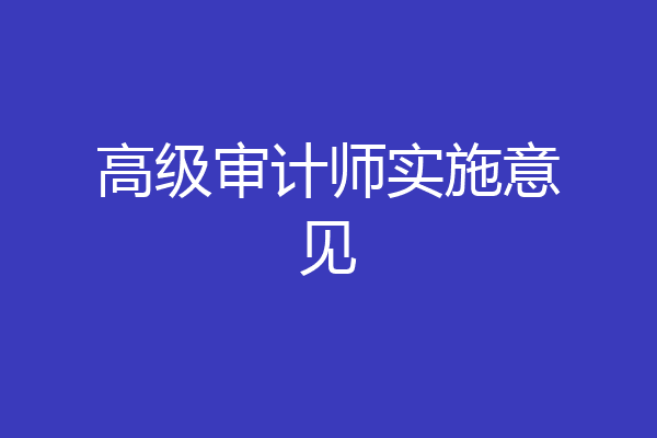 高级审计师实施意见