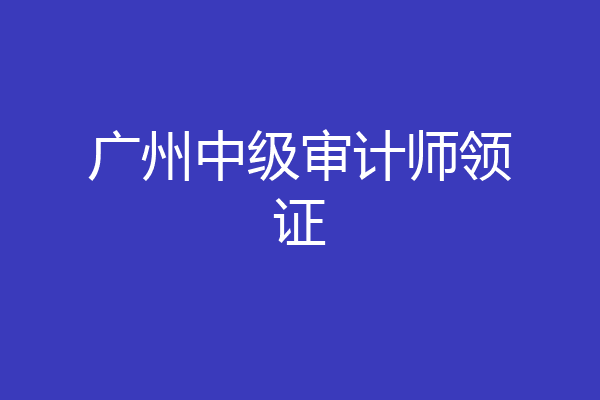 广州中级审计师领证