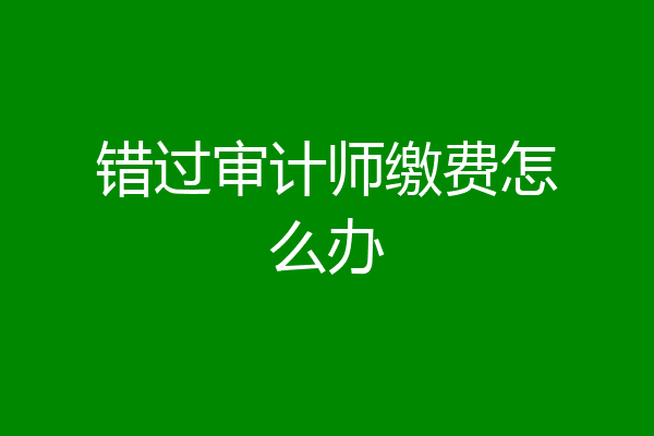 错过审计师缴费怎么办