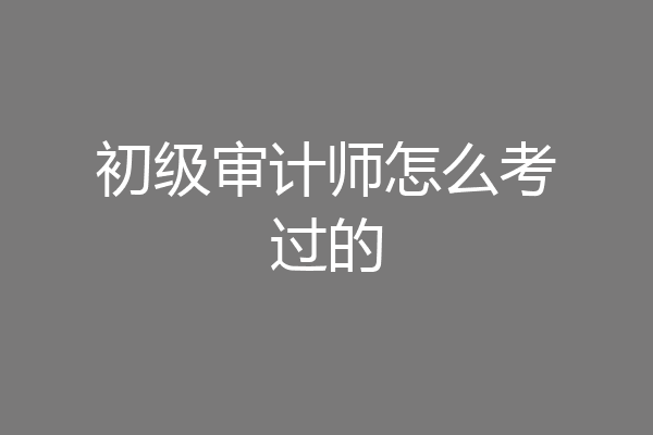 初级审计师怎么考过的