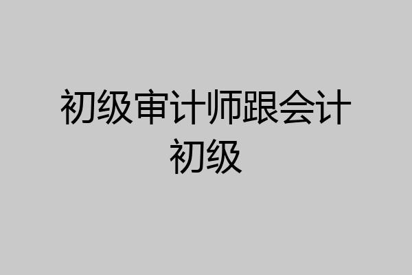 初级审计师跟会计初级