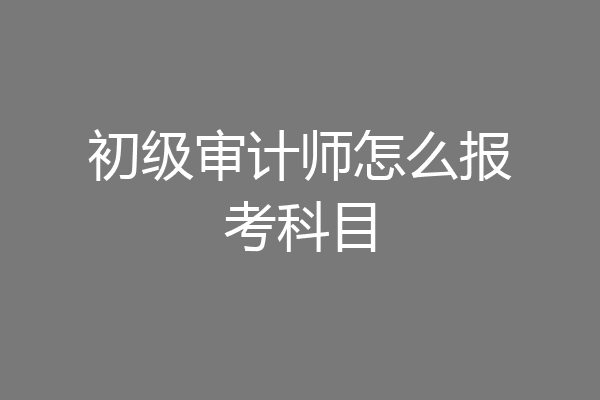 初级审计师怎么报考科目