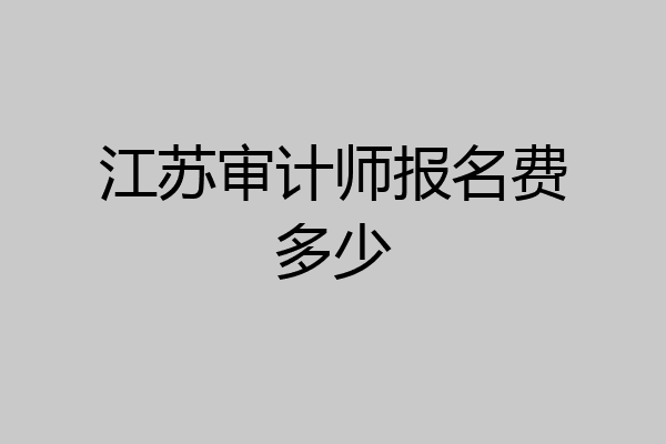 江苏审计师报名费多少