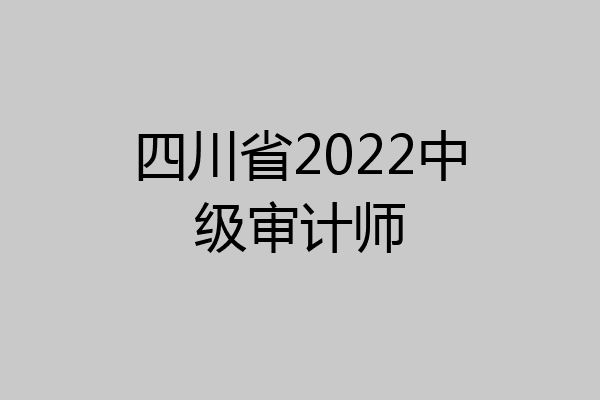 四川省2022中级审计师