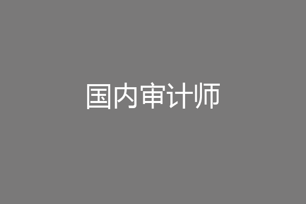 国内审计师