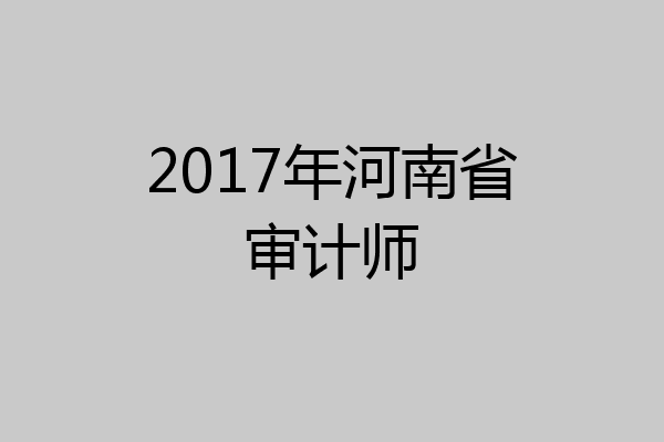 2017年河南省审计师
