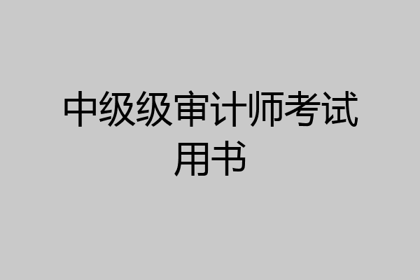 中级级审计师考试用书