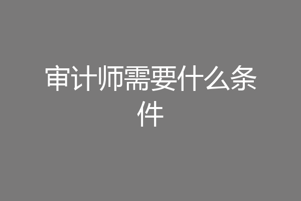 审计师需要什么条件