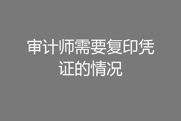 审计师需要复印凭证的情况