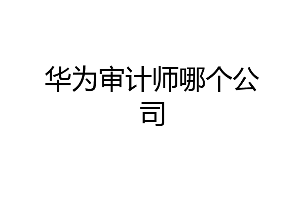 华为审计师哪个公司