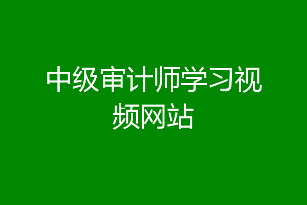 中级审计师学习视频网站
