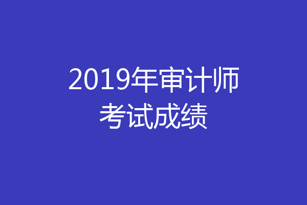 2019年审计师考试成绩