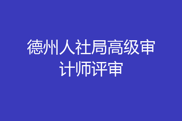 德州人社局高级审计师评审