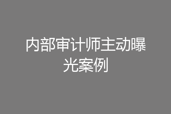 内部审计师主动曝光案例