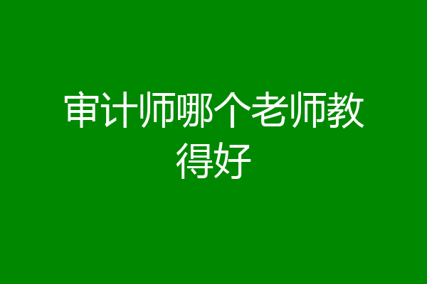 审计师哪个老师教得好