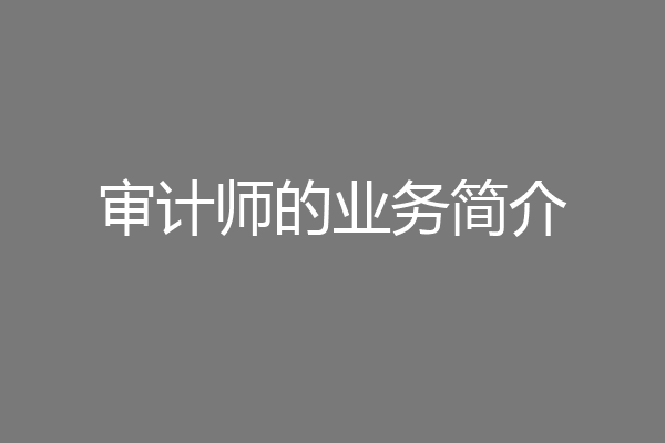 审计师的业务简介