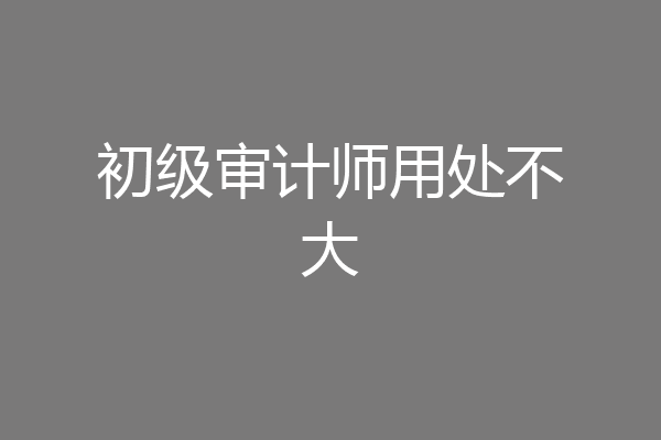 初级审计师用处不大