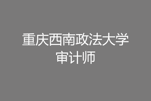 重庆西南政法大学审计师