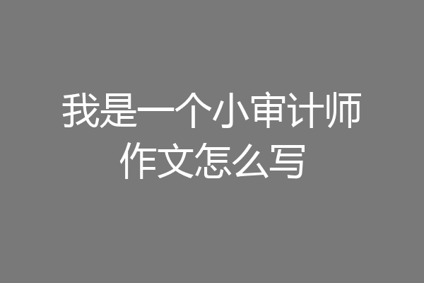 我是一个小审计师作文怎么写